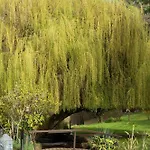 Le Moulin De La Vernoelle Guest house