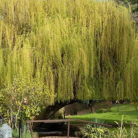 Le Moulin De La Vernoelle Pensjonat