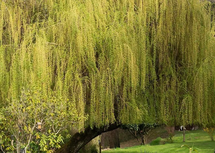 Le Moulin De La Vernoelle Guest house